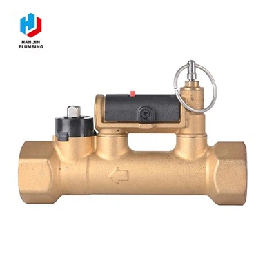 Ntsuas Valve nrog Flow Meter